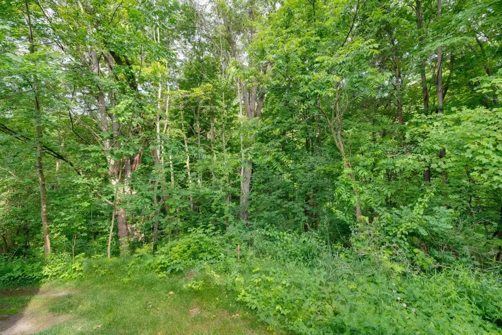 3701 Buttrick Lots-1