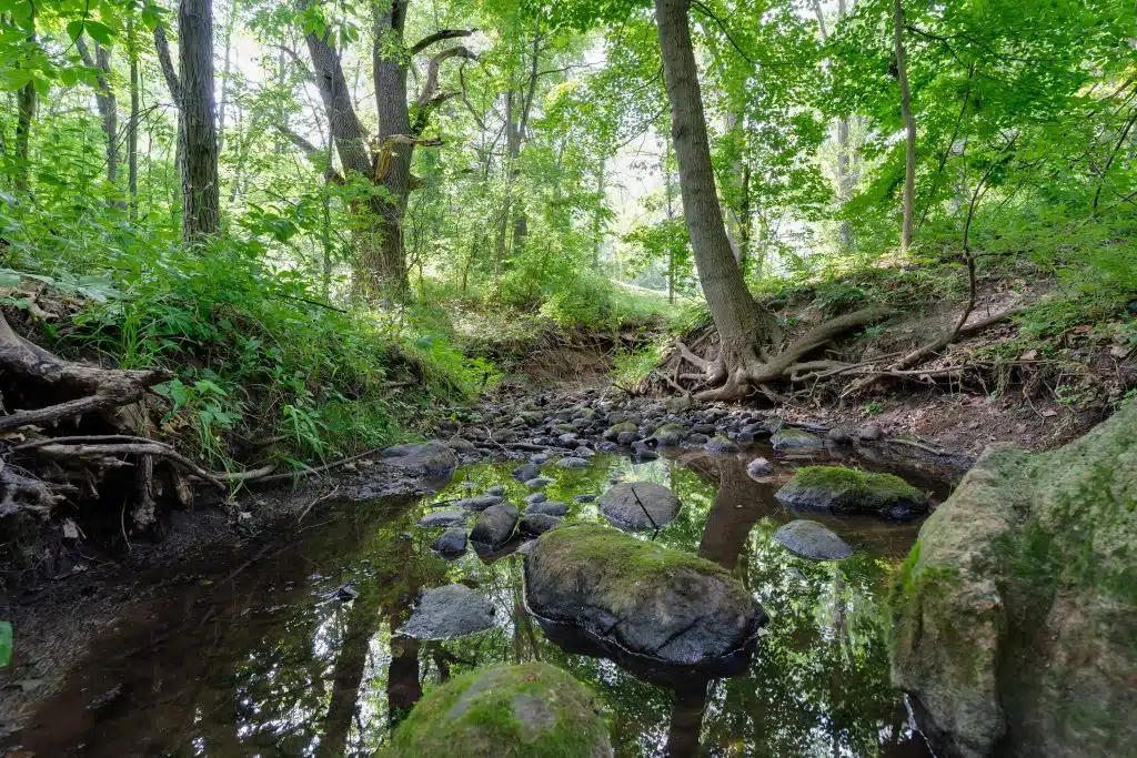 3701 Buttrick Lots-11