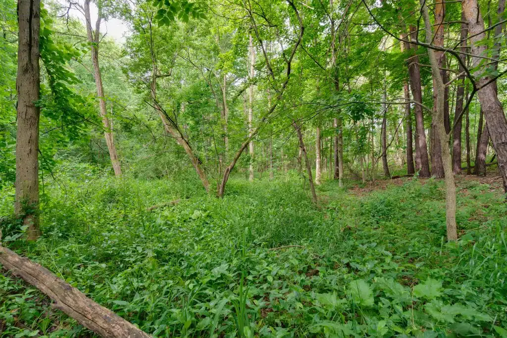 3701 Buttrick Lots-30