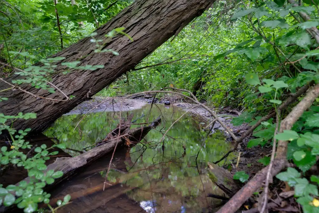 3701 Buttrick Lots-32