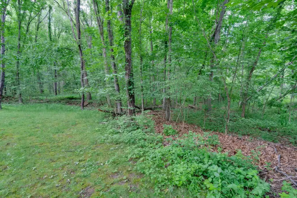 3701 Buttrick Lots-37