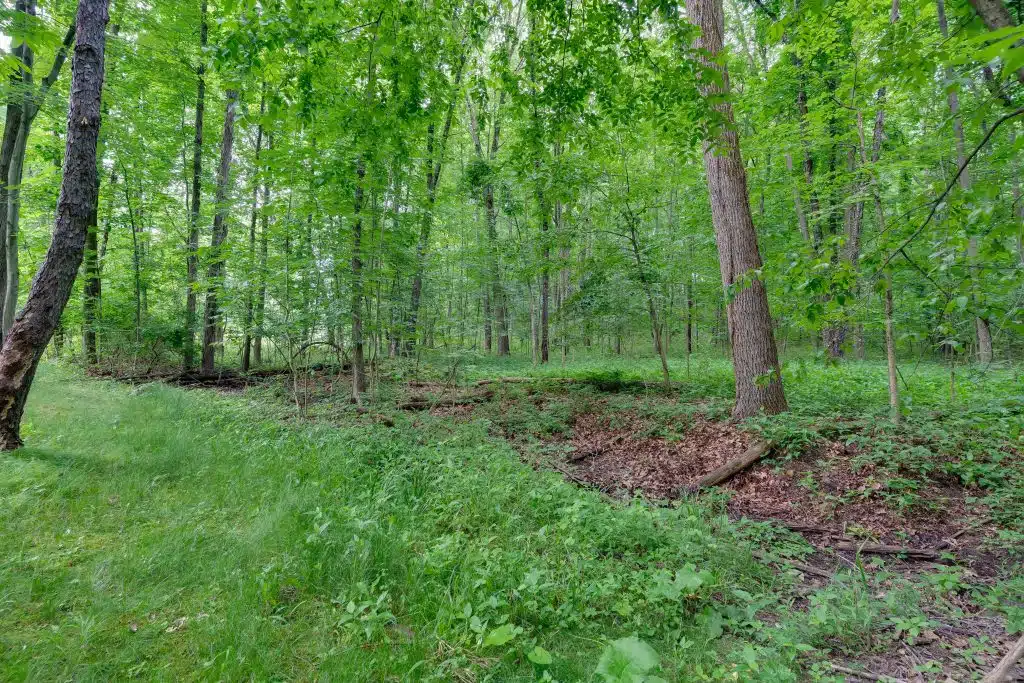 3701 Buttrick Lots-41