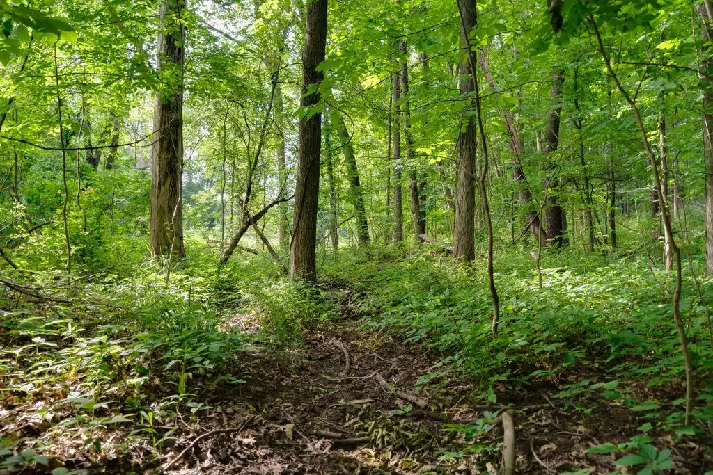 3701 Buttrick Lots-46