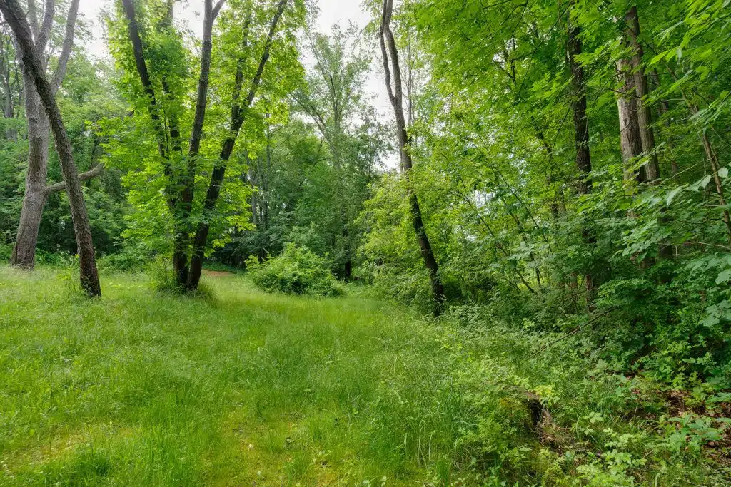 3701 Buttrick Lots-48