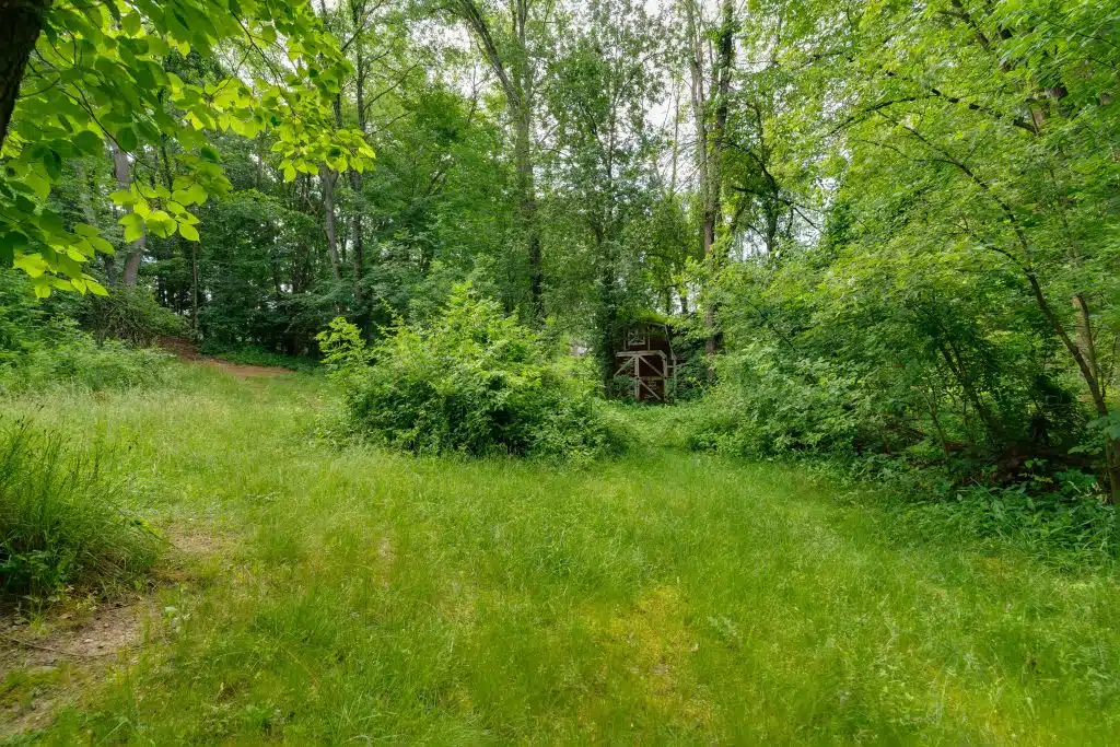 3701 Buttrick Lots-51