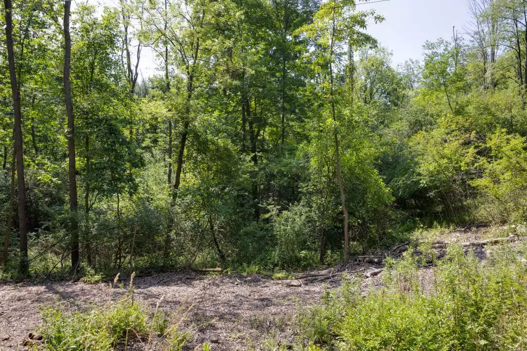 Bradford_Property-18