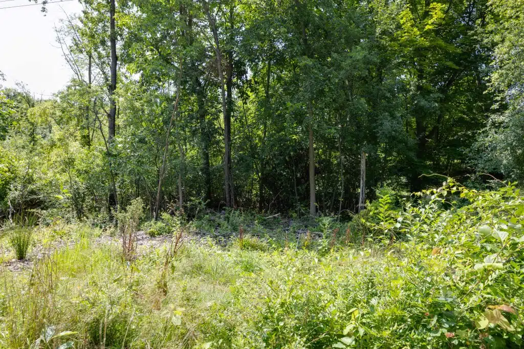 Bradford_Property-19